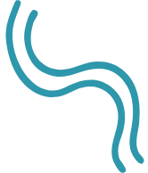 Destination Custom Field Image